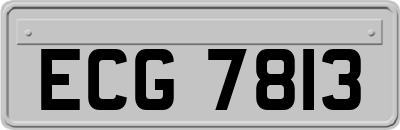 ECG7813