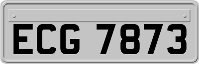 ECG7873