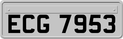 ECG7953