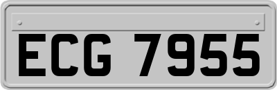 ECG7955