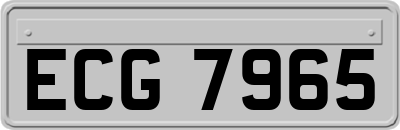 ECG7965