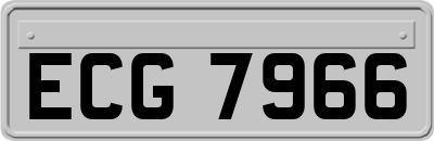 ECG7966