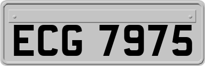 ECG7975