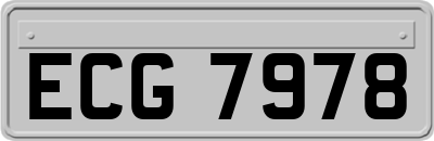 ECG7978