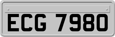 ECG7980