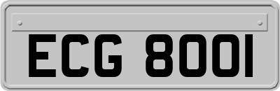 ECG8001