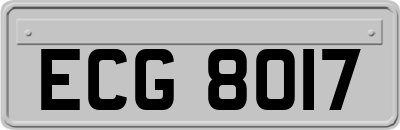 ECG8017