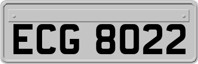 ECG8022