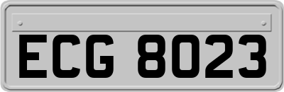 ECG8023