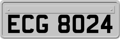 ECG8024