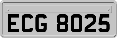ECG8025