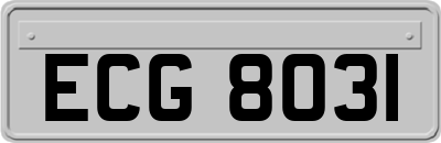 ECG8031