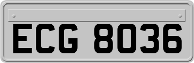 ECG8036