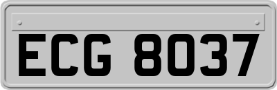 ECG8037