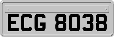 ECG8038