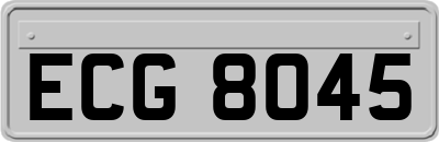 ECG8045