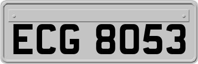 ECG8053