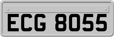 ECG8055