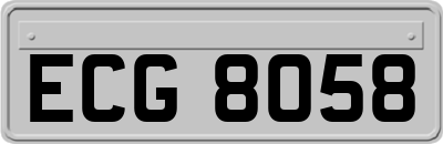 ECG8058