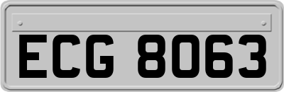 ECG8063