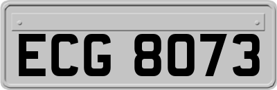 ECG8073