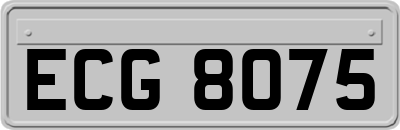 ECG8075