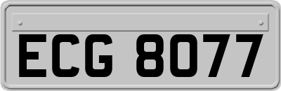 ECG8077