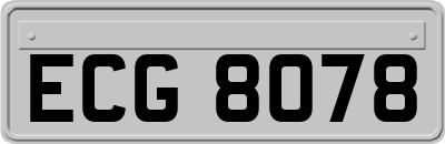 ECG8078