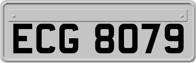 ECG8079