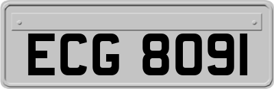 ECG8091