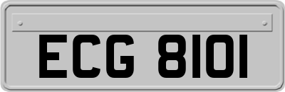 ECG8101