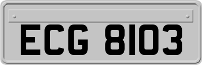 ECG8103