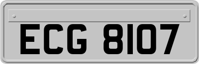 ECG8107
