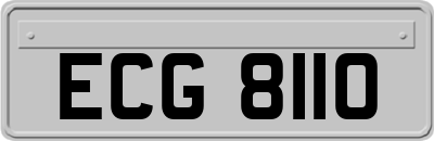 ECG8110