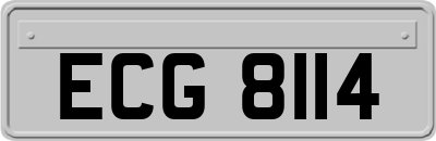 ECG8114