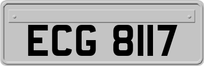 ECG8117
