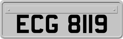 ECG8119