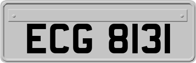 ECG8131