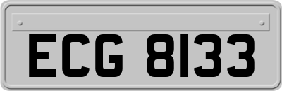 ECG8133