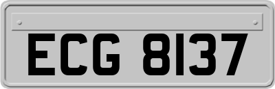 ECG8137