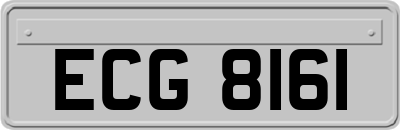 ECG8161