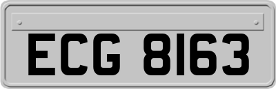ECG8163