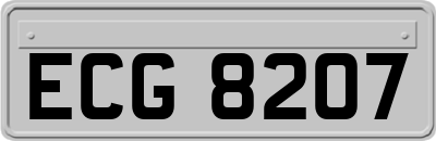 ECG8207