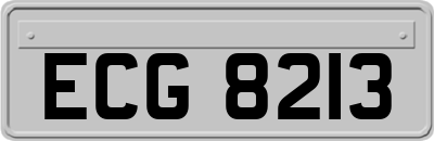 ECG8213