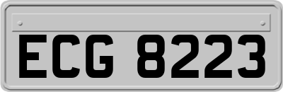ECG8223