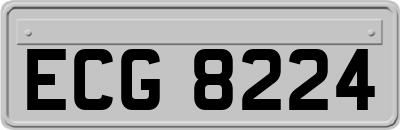 ECG8224