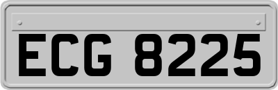 ECG8225