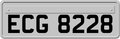 ECG8228