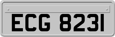 ECG8231