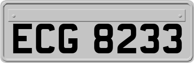 ECG8233